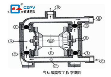 單向氣動(dòng)隔膜泵的工作原理圖