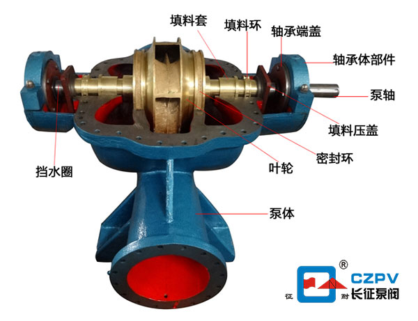 單級雙吸臥式離心泵剖面解析圖