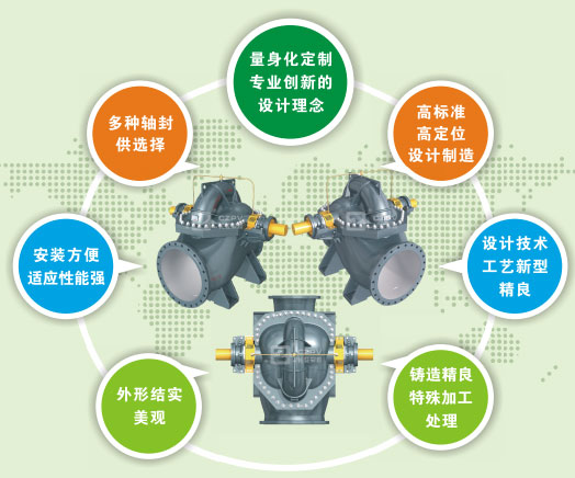 雙吸泵結(jié)構(gòu)特點